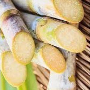 Locally grown sugar cane stalk 4 lb